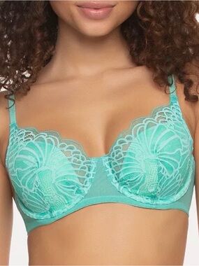 Paramour Tempting Lace Plunge Push Up Bra  in Aqua Spa Green Sz 40DD NEW